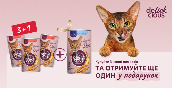 Cлайд 12